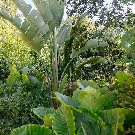 Kipos Mon Repos Anemomylos