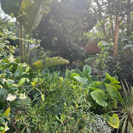 Kipos Mon Repos Apartman *