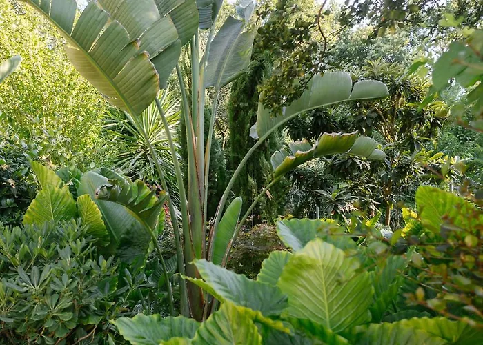 Kipos Mon Repos Anemomylos